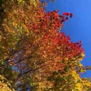 ヒメ日記 2025/11/26 15:30 投稿 なな 西川口ちゃんこ