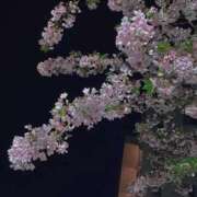 ヒメ日記 2026/03/24 13:19 投稿 なな 西川口ちゃんこ