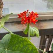 なな 🥹❣️ 西川口ちゃんこ