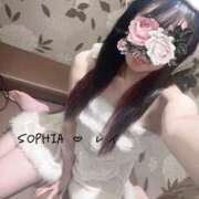 れい めりくり🎁⋆* SOPHIA（ソフィア）