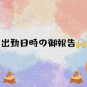 ヒメ日記 2025/02/20 13:37 投稿 りん 和歌山ちゃんこ