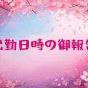 ヒメ日記 2025/04/08 19:53 投稿 りん 和歌山ちゃんこ