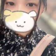 ヒメ日記 2025/06/13 14:55 投稿 りん 和歌山ちゃんこ