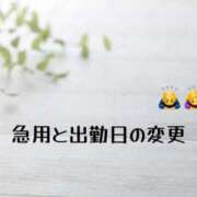 ヒメ日記 2025/08/04 10:10 投稿 りん 和歌山ちゃんこ