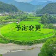 ヒメ日記 2025/08/29 11:33 投稿 りん 和歌山ちゃんこ