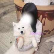 ヒメ日記 2025/12/06 08:15 投稿 まなか DOLCE