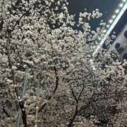 ヒメ日記 2025/03/29 01:40 投稿 涼村くるみ 全裸美女からのカゲキな誘惑