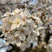 ヒメ日記 2025/04/08 21:52 投稿 涼村くるみ 全裸美女からのカゲキな誘惑