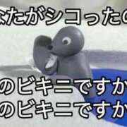 ヒメ日記 2025/09/23 22:32 投稿 涼村くるみ 全裸美女からのカゲキな誘惑