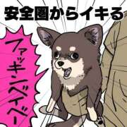 ヒメ日記 2025/10/02 16:02 投稿 涼村くるみ 全裸美女からのカゲキな誘惑