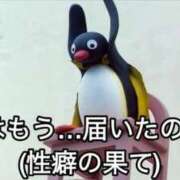 ヒメ日記 2025/10/10 21:22 投稿 涼村くるみ 全裸美女からのカゲキな誘惑