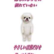 ヒメ日記 2025/12/05 15:03 投稿 涼村くるみ 全裸美女からのカゲキな誘惑