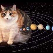 ヒメ日記 2026/01/16 19:42 投稿 涼村くるみ 全裸美女からのカゲキな誘惑