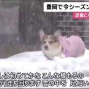 ヒメ日記 2026/01/27 21:42 投稿 涼村くるみ 全裸美女からのカゲキな誘惑