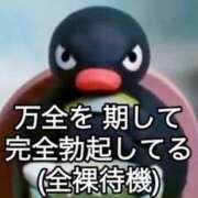 ヒメ日記 2026/02/20 15:01 投稿 涼村くるみ 全裸美女からのカゲキな誘惑