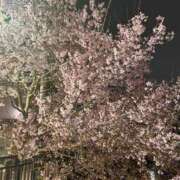 ヒメ日記 2026/03/27 17:30 投稿 涼村くるみ 全裸美女からのカゲキな誘惑