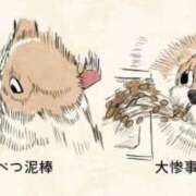 ヒメ日記 2026/03/28 19:21 投稿 涼村くるみ 全裸美女からのカゲキな誘惑