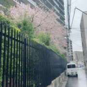 ヒメ日記 2026/03/31 15:30 投稿 涼村くるみ 全裸美女からのカゲキな誘惑