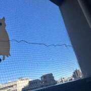 ヒメ日記 2026/04/03 12:55 投稿 涼村くるみ 全裸美女からのカゲキな誘惑