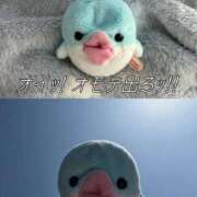 ヒメ日記 2026/04/16 16:08 投稿 涼村くるみ 全裸美女からのカゲキな誘惑