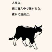 ヒメ日記 2026/05/20 18:08 投稿 涼村くるみ 全裸美女からのカゲキな誘惑