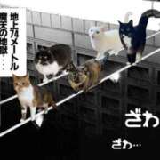 ヒメ日記 2026/08/14 19:38 投稿 涼村くるみ 全裸美女からのカゲキな誘惑