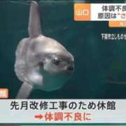 ヒメ日記 2026/09/01 23:18 投稿 涼村くるみ 全裸美女からのカゲキな誘惑