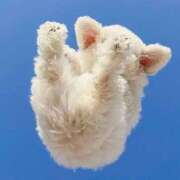 ヒメ日記 2025/04/20 14:33 投稿 薬院くるみ THE痴漢電車.com