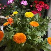 ヒメ日記 2025/04/20 21:43 投稿 薬院くるみ THE痴漢電車.com