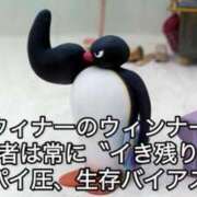 ヒメ日記 2025/05/29 22:43 投稿 薬院くるみ THE痴漢電車.com