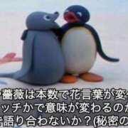 ヒメ日記 2025/07/31 15:13 投稿 薬院くるみ THE痴漢電車.com