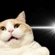 ヒメ日記 2025/08/27 16:53 投稿 薬院くるみ THE痴漢電車.com