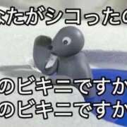 ヒメ日記 2025/09/23 22:51 投稿 薬院くるみ THE痴漢電車.com