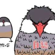 ヒメ日記 2025/10/16 19:33 投稿 薬院くるみ THE痴漢電車.com