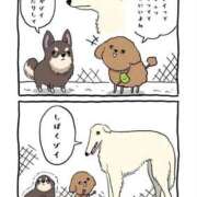 ヒメ日記 2026/03/31 14:15 投稿 薬院くるみ THE痴漢電車.com