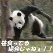 ヒメ日記 2026/04/02 12:23 投稿 薬院くるみ THE痴漢電車.com