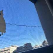 ヒメ日記 2026/04/03 13:13 投稿 薬院くるみ THE痴漢電車.com