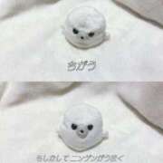 ヒメ日記 2026/04/03 19:33 投稿 薬院くるみ THE痴漢電車.com