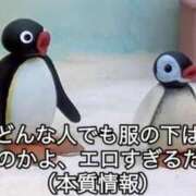 ヒメ日記 2026/04/11 12:23 投稿 薬院くるみ THE痴漢電車.com
