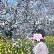 ヒメ日記 2025/04/10 23:01 投稿 ひな マリアージュ熊谷