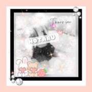 ヒメ日記 2025/04/10 09:42 投稿 蛍-ほたる- Club Vogue（クラブヴォーグ）