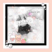 ヒメ日記 2025/09/13 08:56 投稿 蛍-ほたる- Club Vogue（クラブヴォーグ）