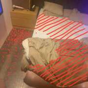 ヒメ日記 2025/01/20 22:57 投稿 るね 黒い金魚（札幌）