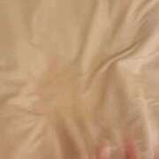 ヒメ日記 2025/05/05 23:37 投稿 るね 黒い金魚（札幌）