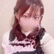 ヒメ日記 2025/05/13 21:21 投稿 しおり LEVEL1