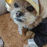 ヒメ日記 2025/02/08 08:37 投稿 野原 熟らぶ