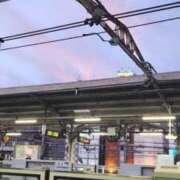 ヒメ日記 2025/07/21 09:07 投稿 野原 熟らぶ