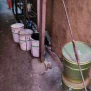 ヒメ日記 2025/08/02 09:22 投稿 野原 熟らぶ