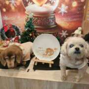 ヒメ日記 2025/12/29 08:35 投稿 野原 熟らぶ