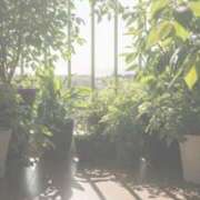 のあ ? 熟女の風俗最終章 本厚木店